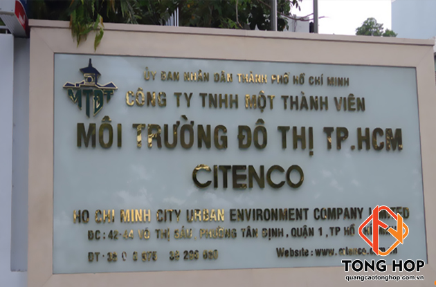 lam bang hieu cong ty citenco dep